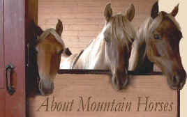 About Mountain Horses
